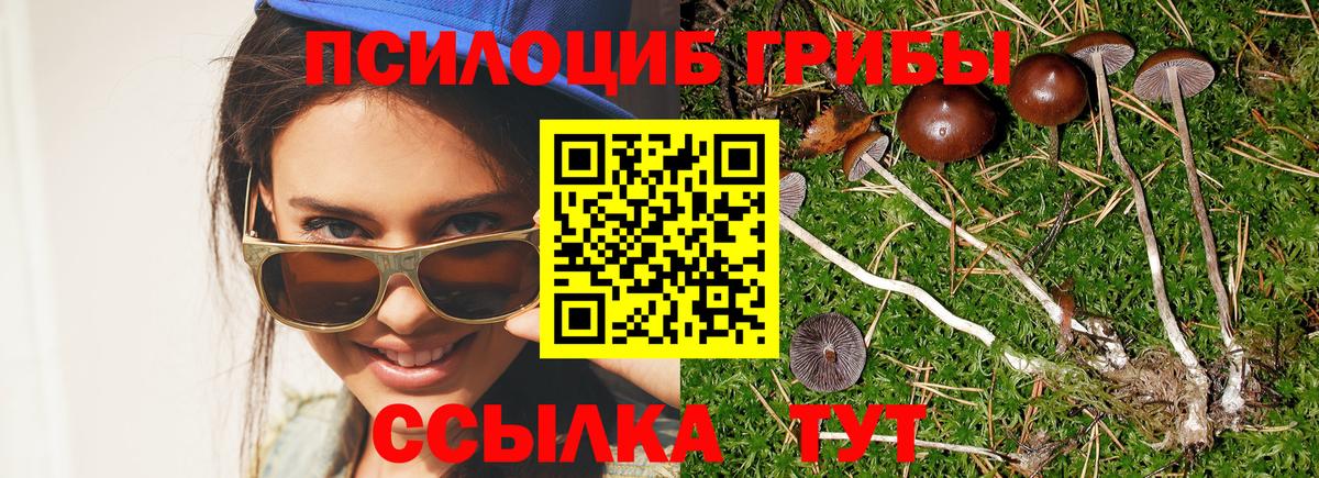 Галлюциногенные грибы Psilocybe Симферополь
