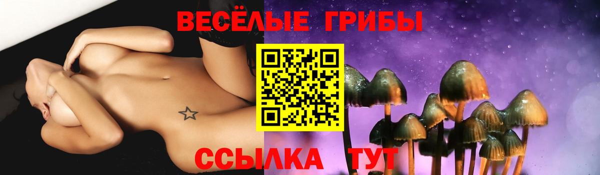 Галлюциногенные грибы MAGIC MUSHROOMS  Вход с VPN  Симферополь 